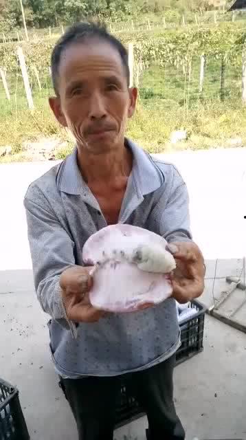 吃瓜爆料大叔是谁啊,网络红人背后的故事